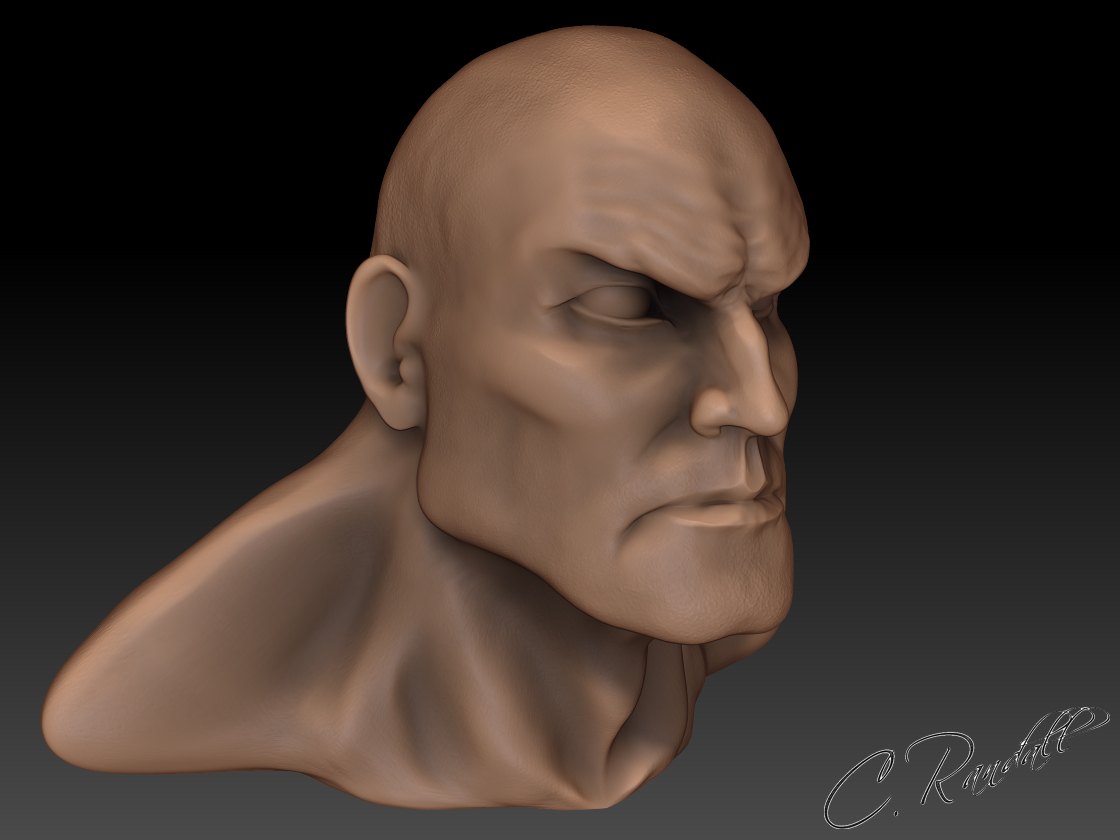 Zaran Head (right side).jpg