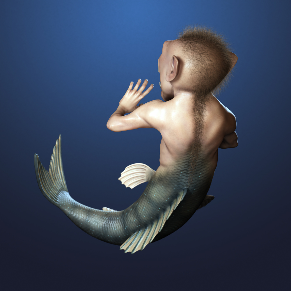 FijiM_Render_Back.jpg