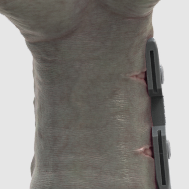 ClawSkinCloseUp.jpg