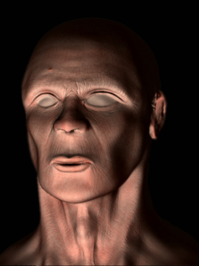 Faccia SoftZ.jpg