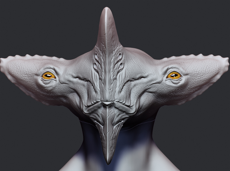 face-shot.jpg
