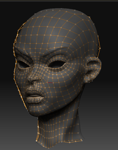 head_retopo.jpg