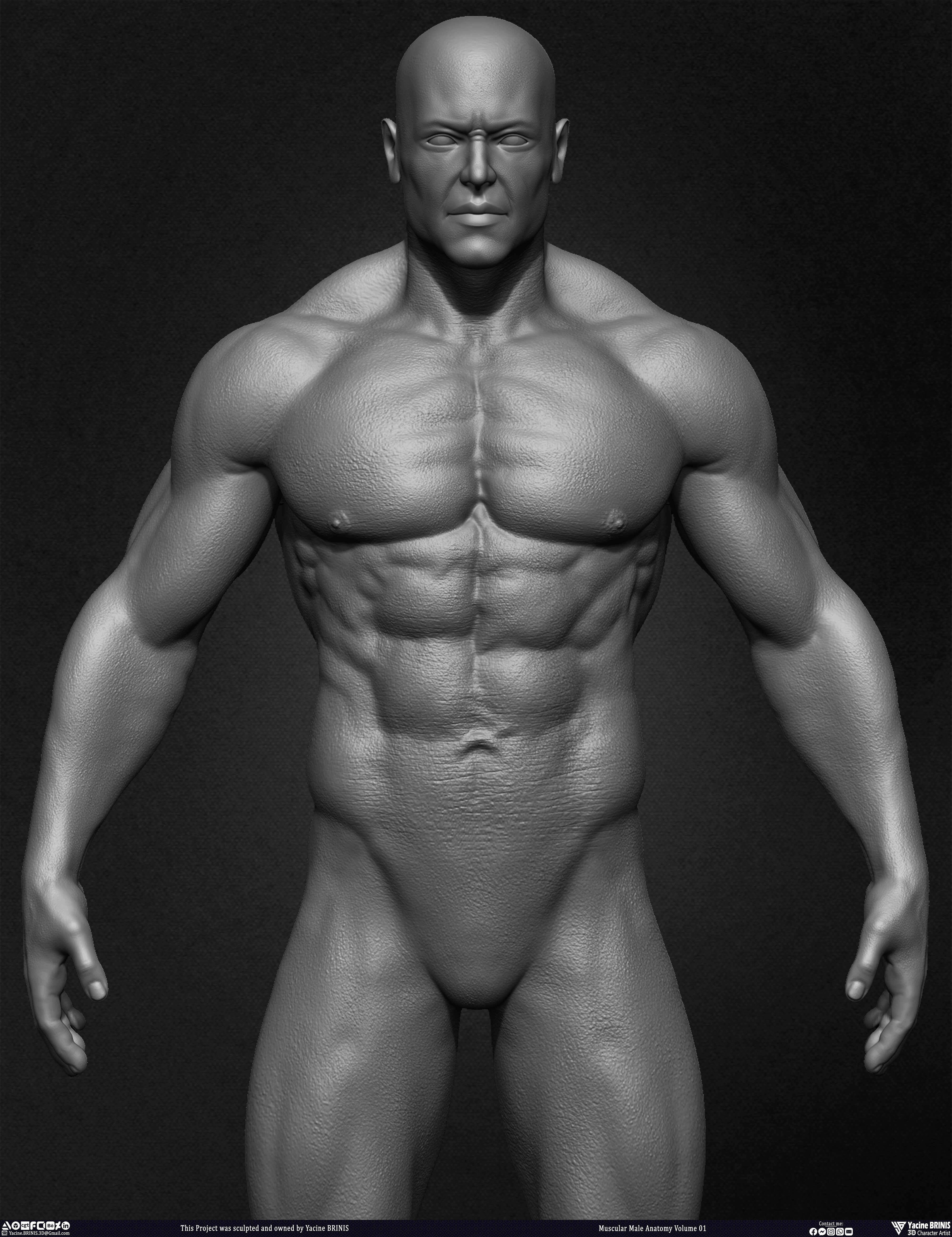 Muscular Male Anatomy 3D Character sculpted by Yacine BRINIS 012