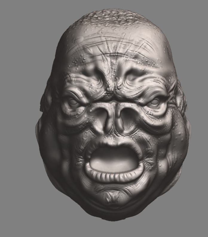 close head material.jpg
