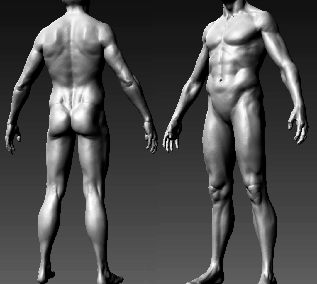 male-body.jpg