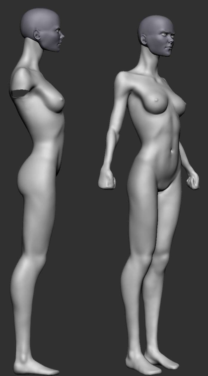 female_body_templatesculpt2small.jpg
