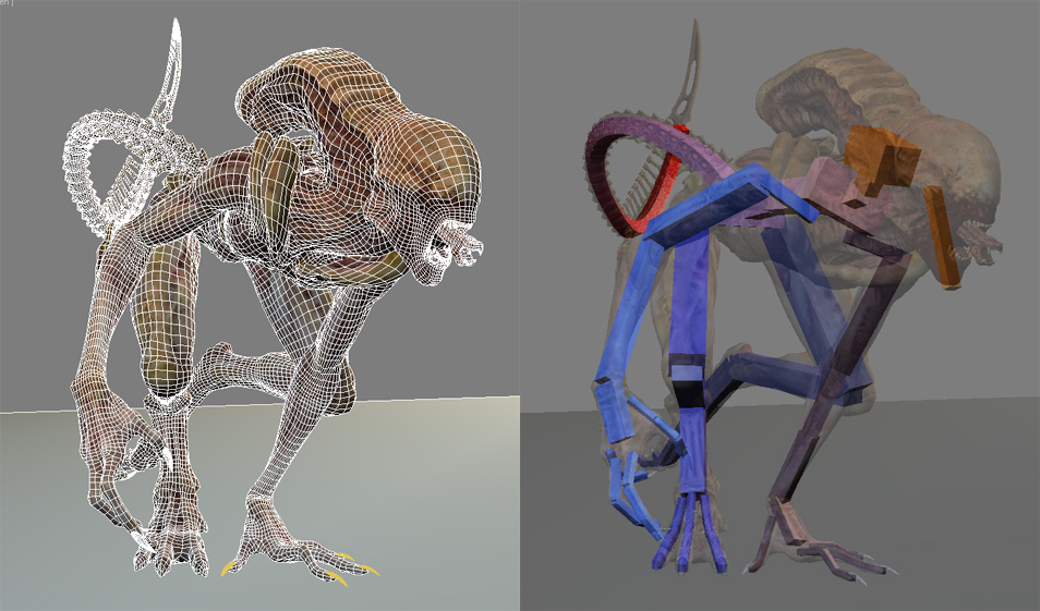 bones.jpg