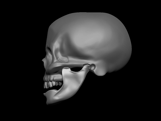 Skull_Side1.png