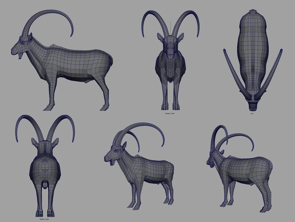 Ibex_WIP_28May2009_Sm.jpg