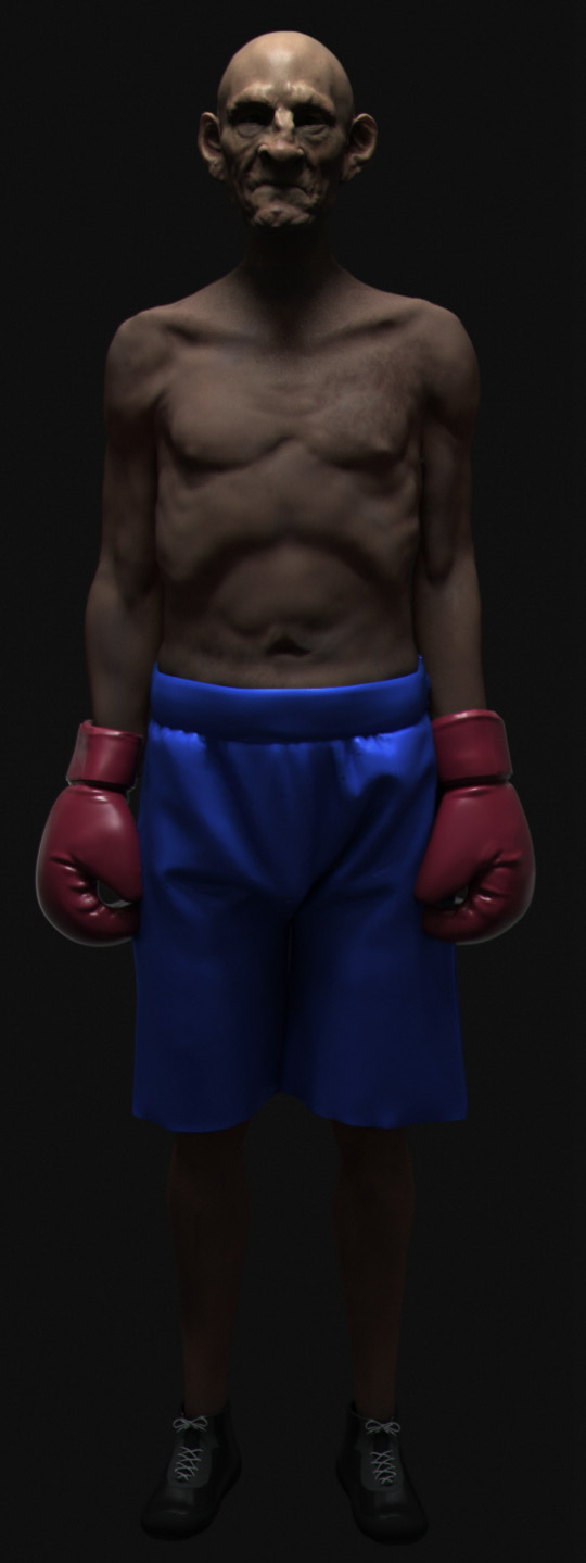 Boxer_01a.jpg