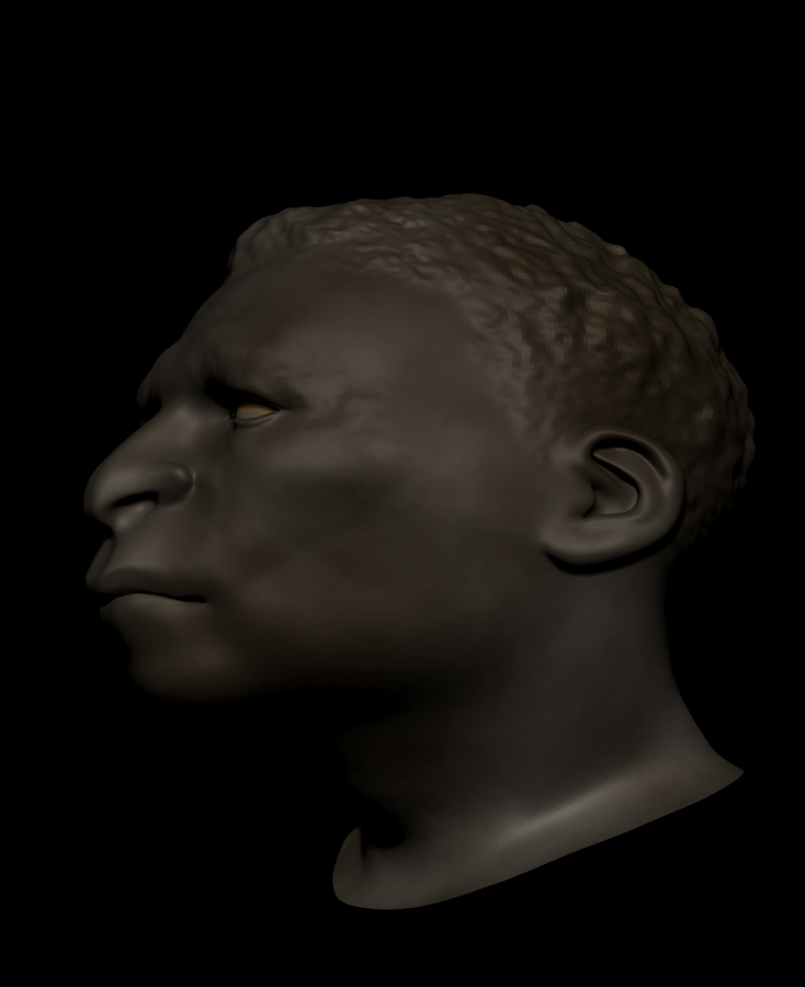 EOF MESH MOD 6.jpg
