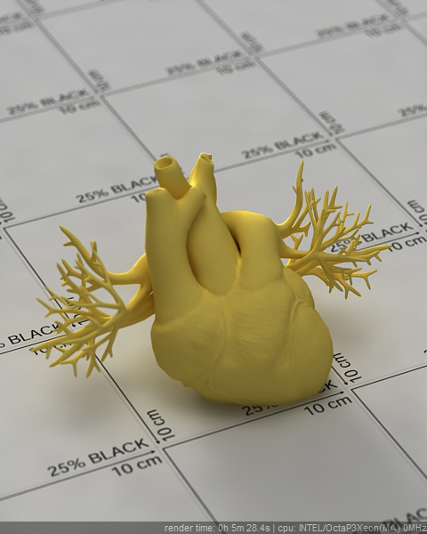 HeartTest_075.jpg