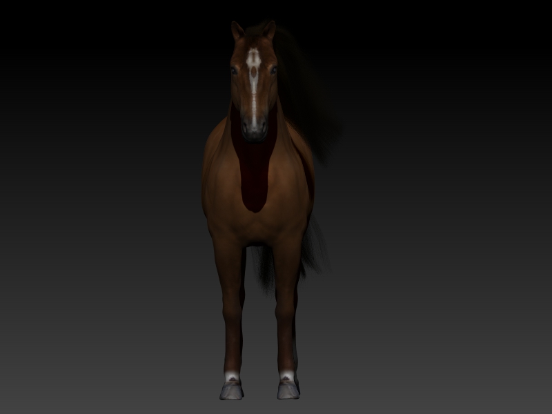 Full%20Horse%20%20(5)