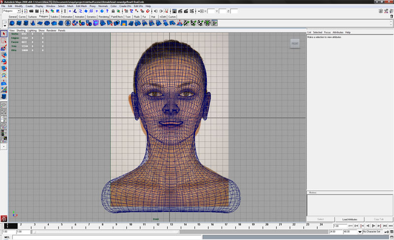 femhead-front.jpg