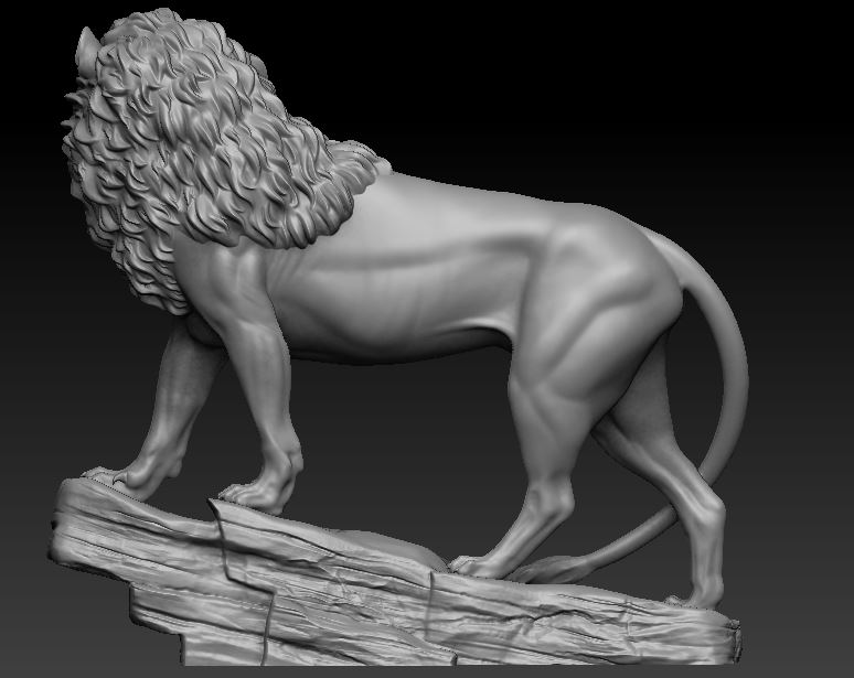 Lion 3