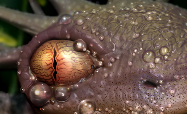 eye.jpg