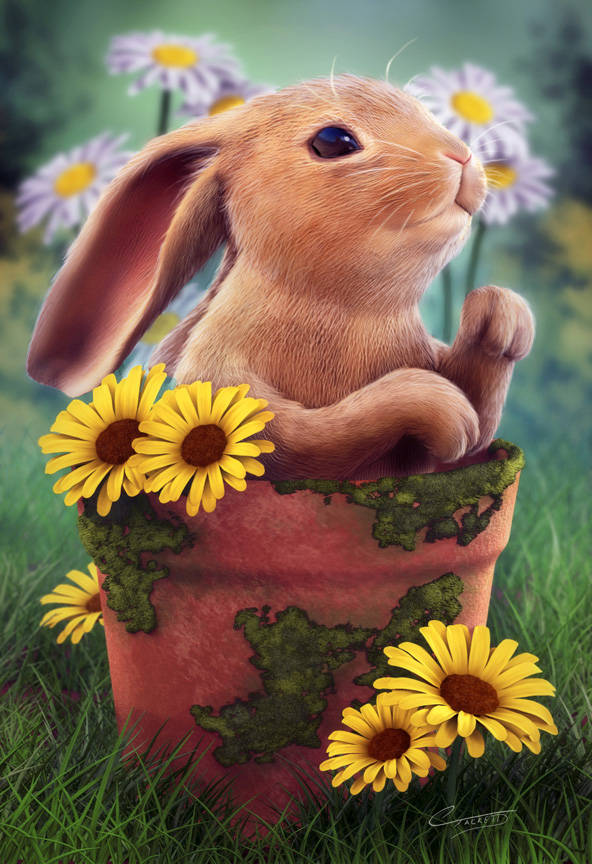 BunnyFinal.jpg