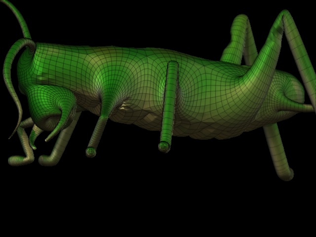 Grasshopper2.jpg
