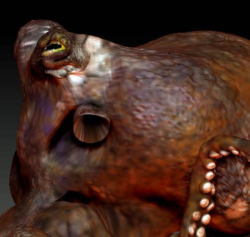 Octopus eye icon view.jpg