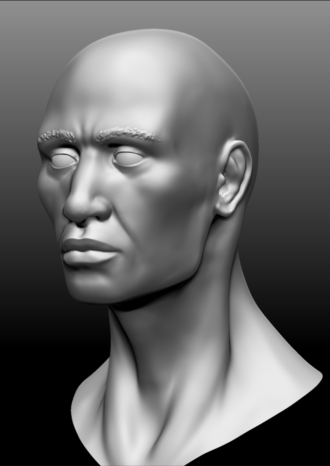 Male_Head_02.jpg