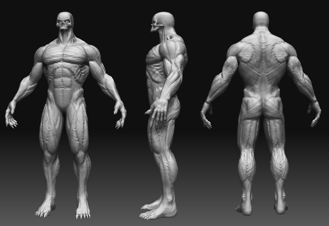 NEW ANATOMY.jpg
