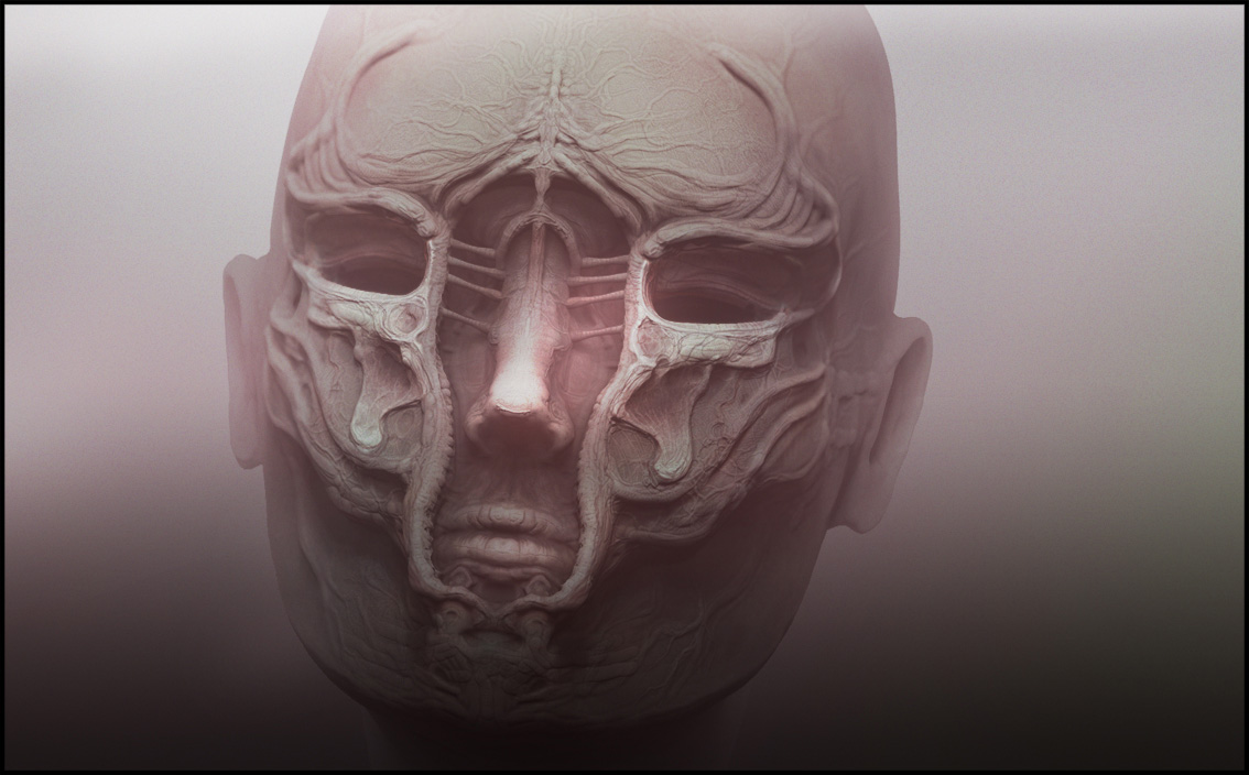 HEAD AGAIN done web 2.jpg