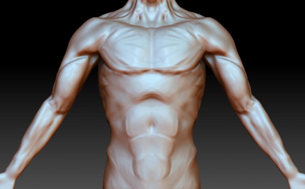 Anatomybodyfront_zps97e1ff7d.jpg