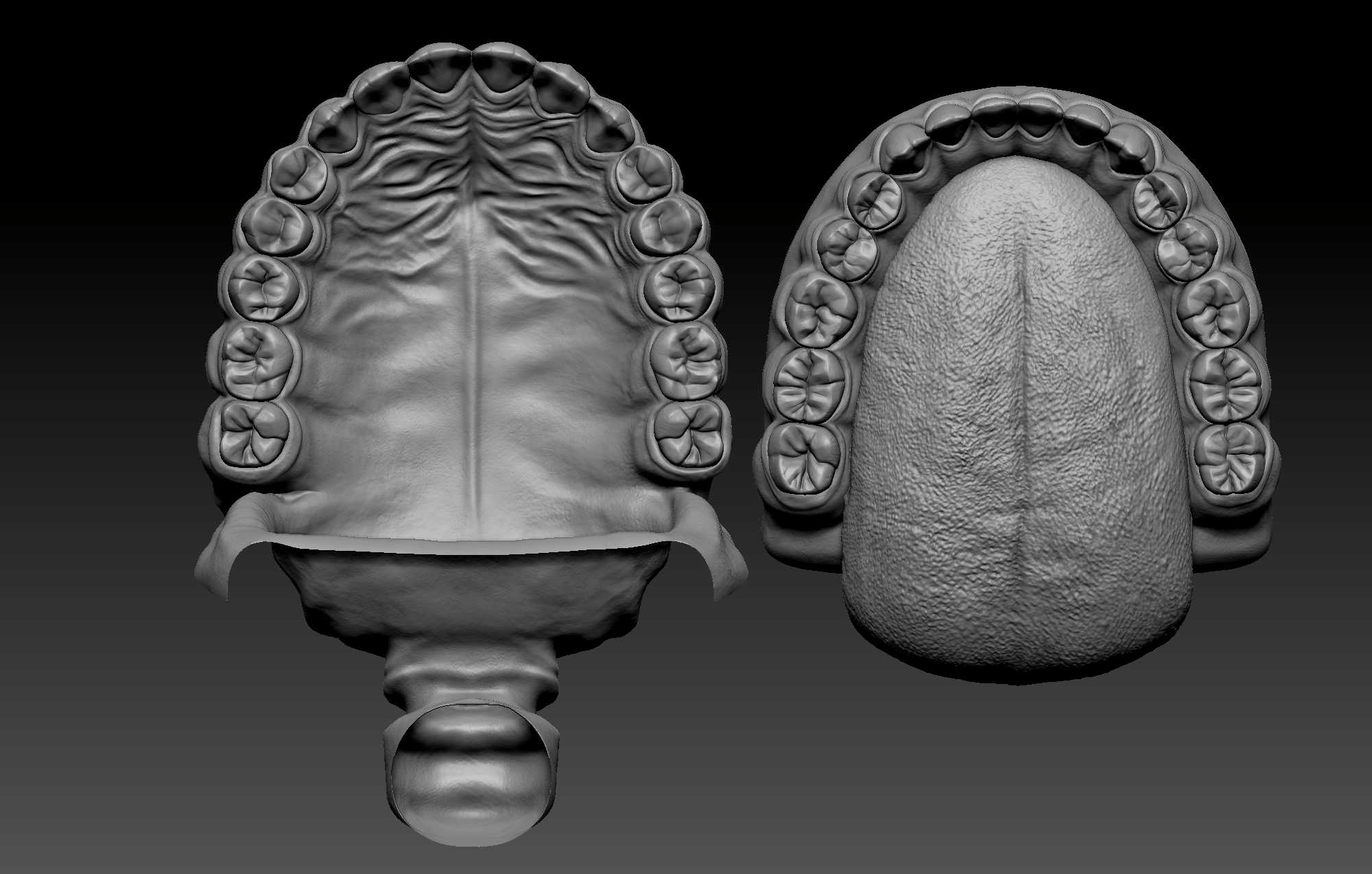 tooth zbrush