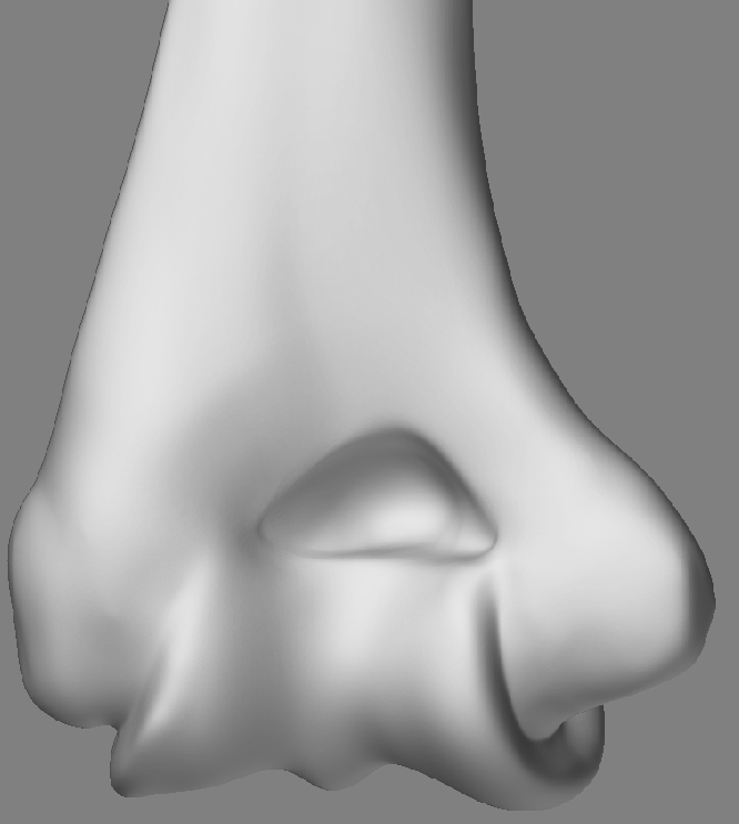 HumerusBack_01.jpg