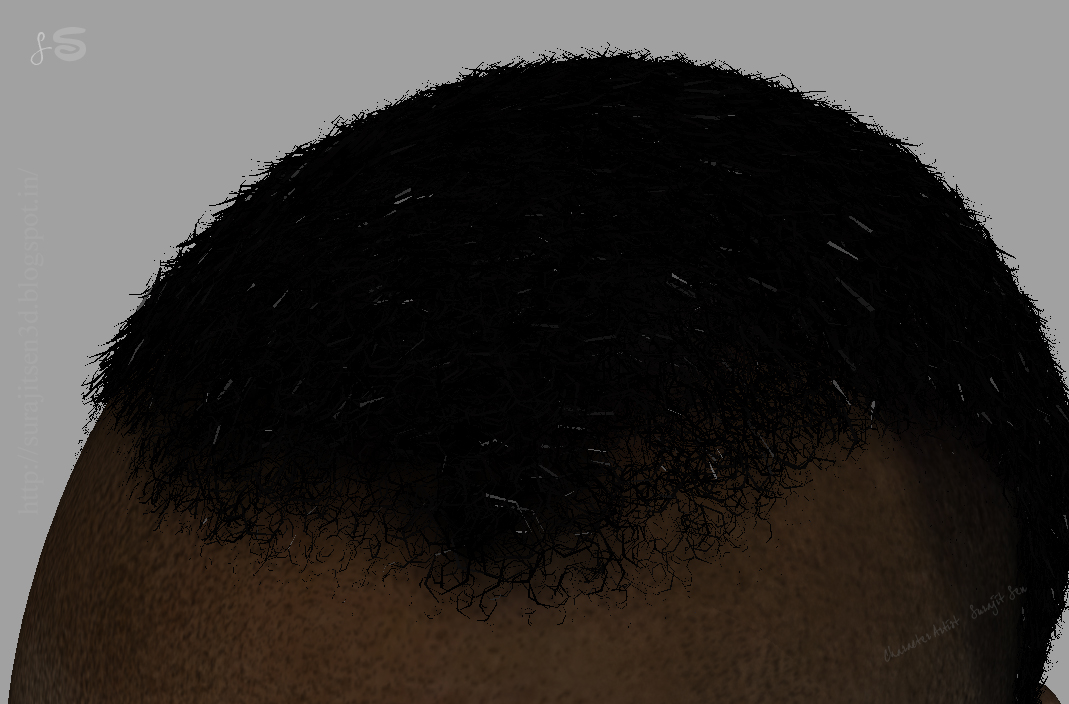 22_Nubia_real-time portrait _By Surajit Sen_Fibermesh1.JPG