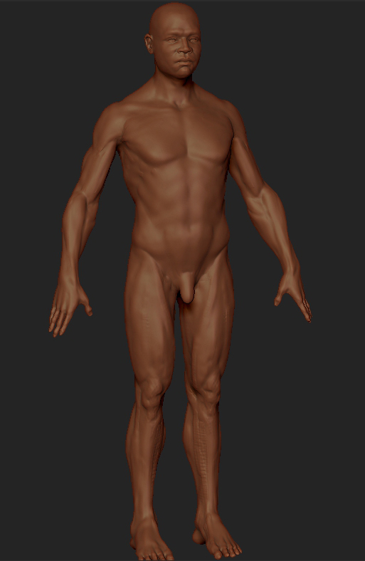 wholebody-checkv01.jpg