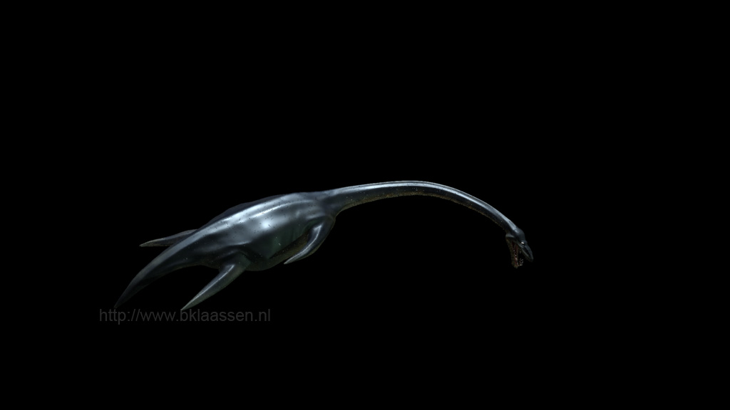 elasmo_back2.jpg