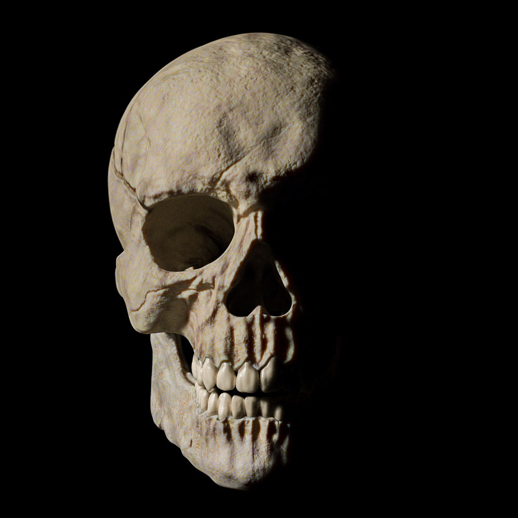 Skull%202