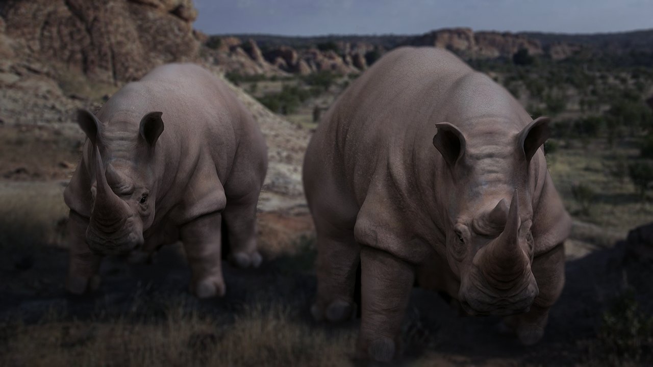 brian-dolan-rhinoblack.jpg