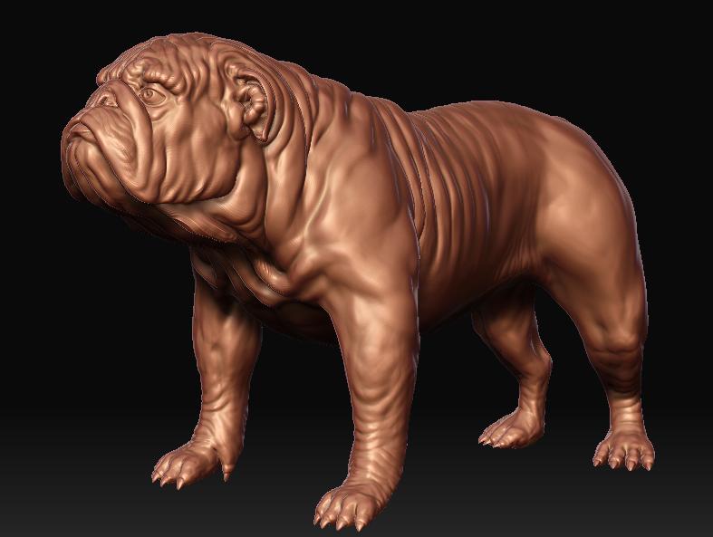dog3.jpg