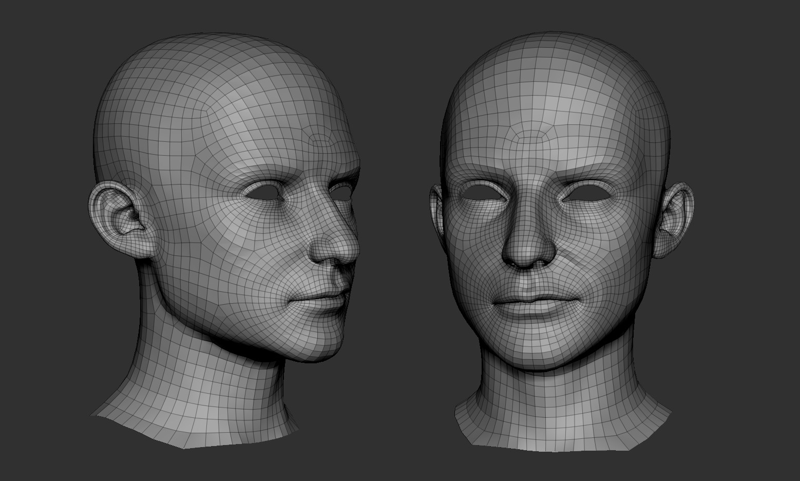 amaury-darras-face-wireframe-zbrush.jpg