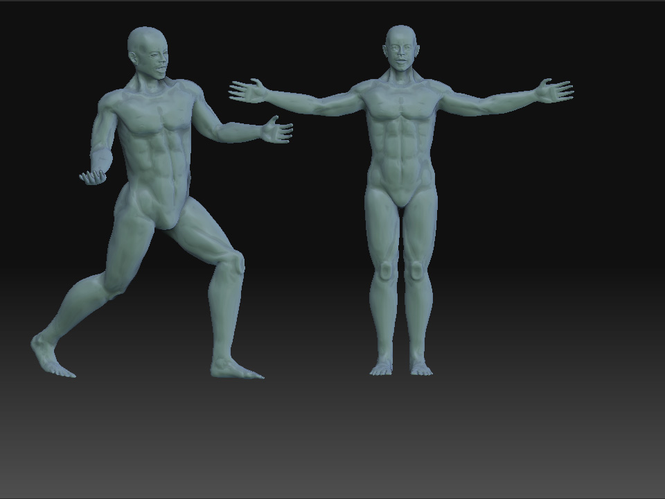 pose_preview.jpg