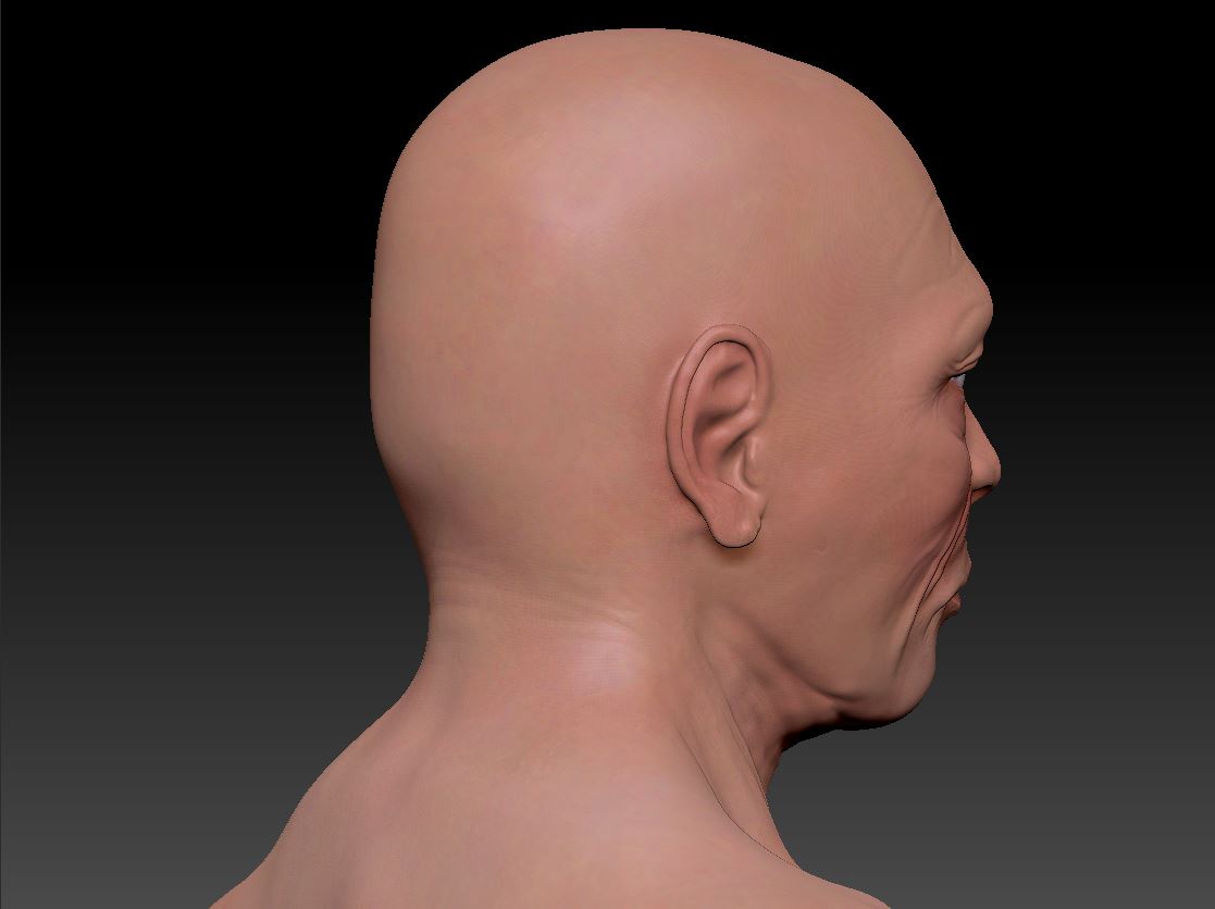 Head3.JPG