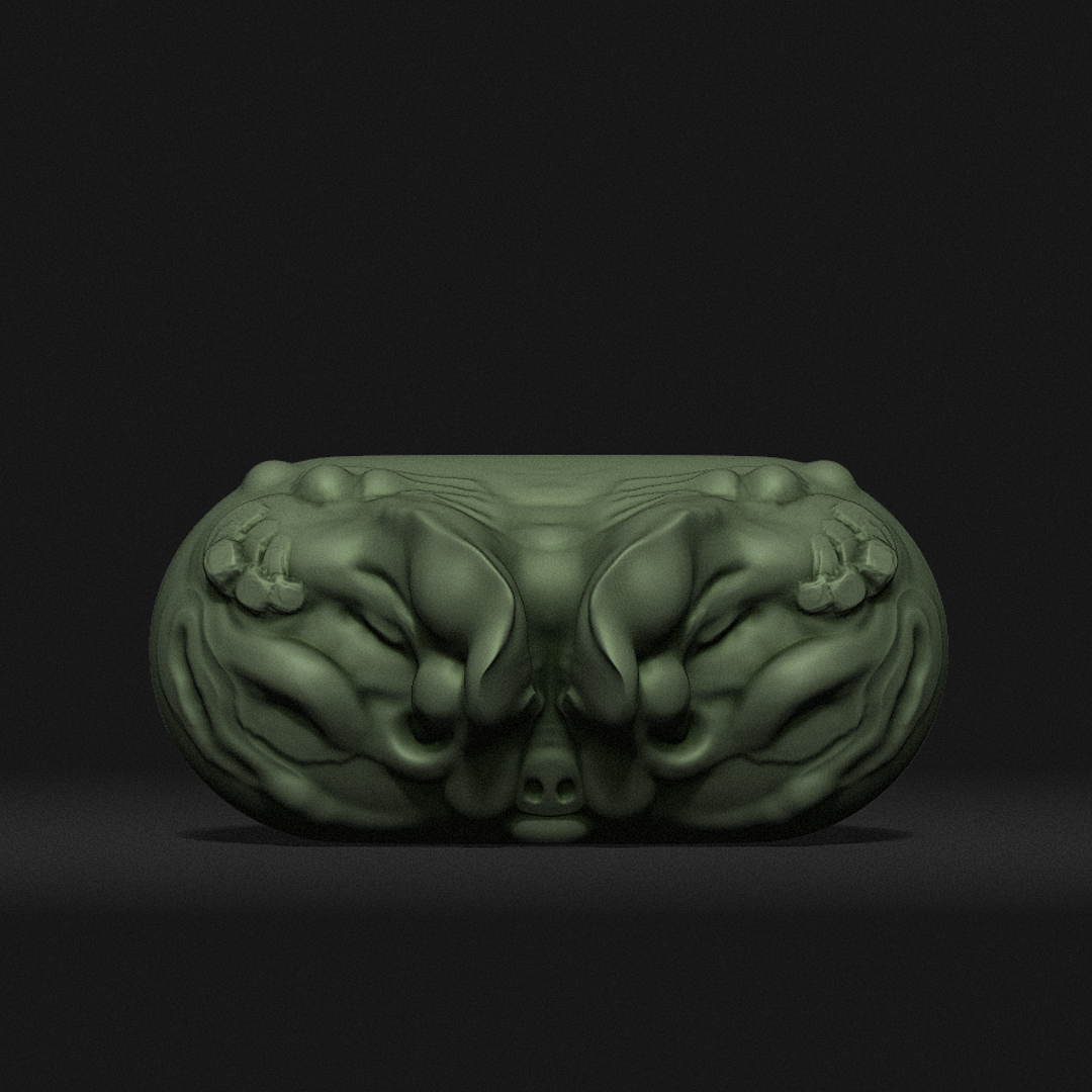 01_Capsule-green-Image1-PIG