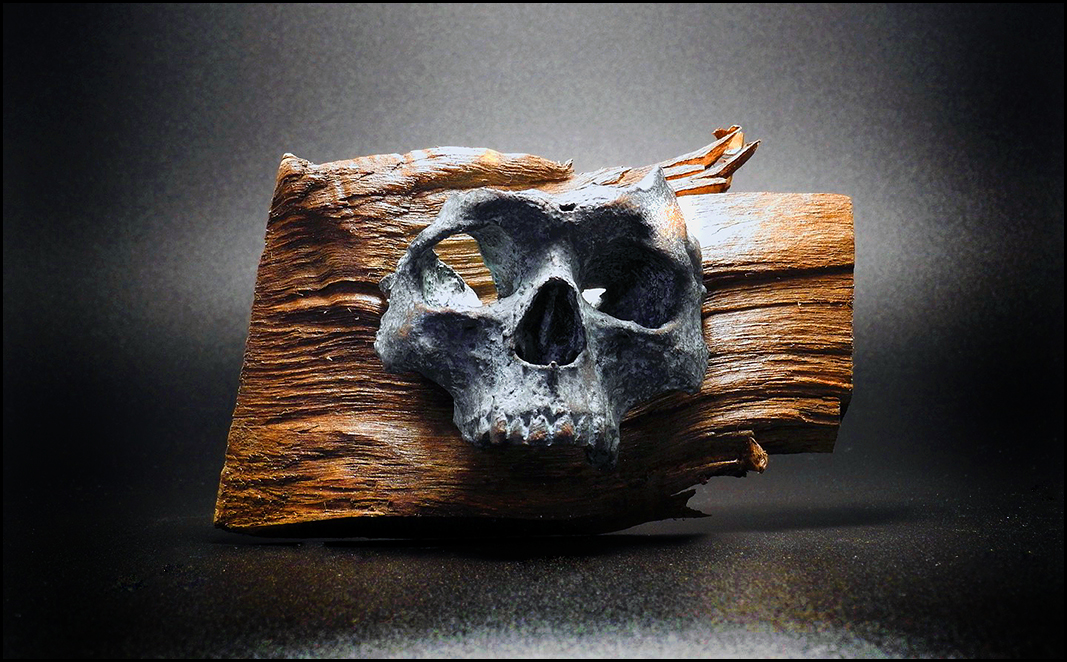 skull
