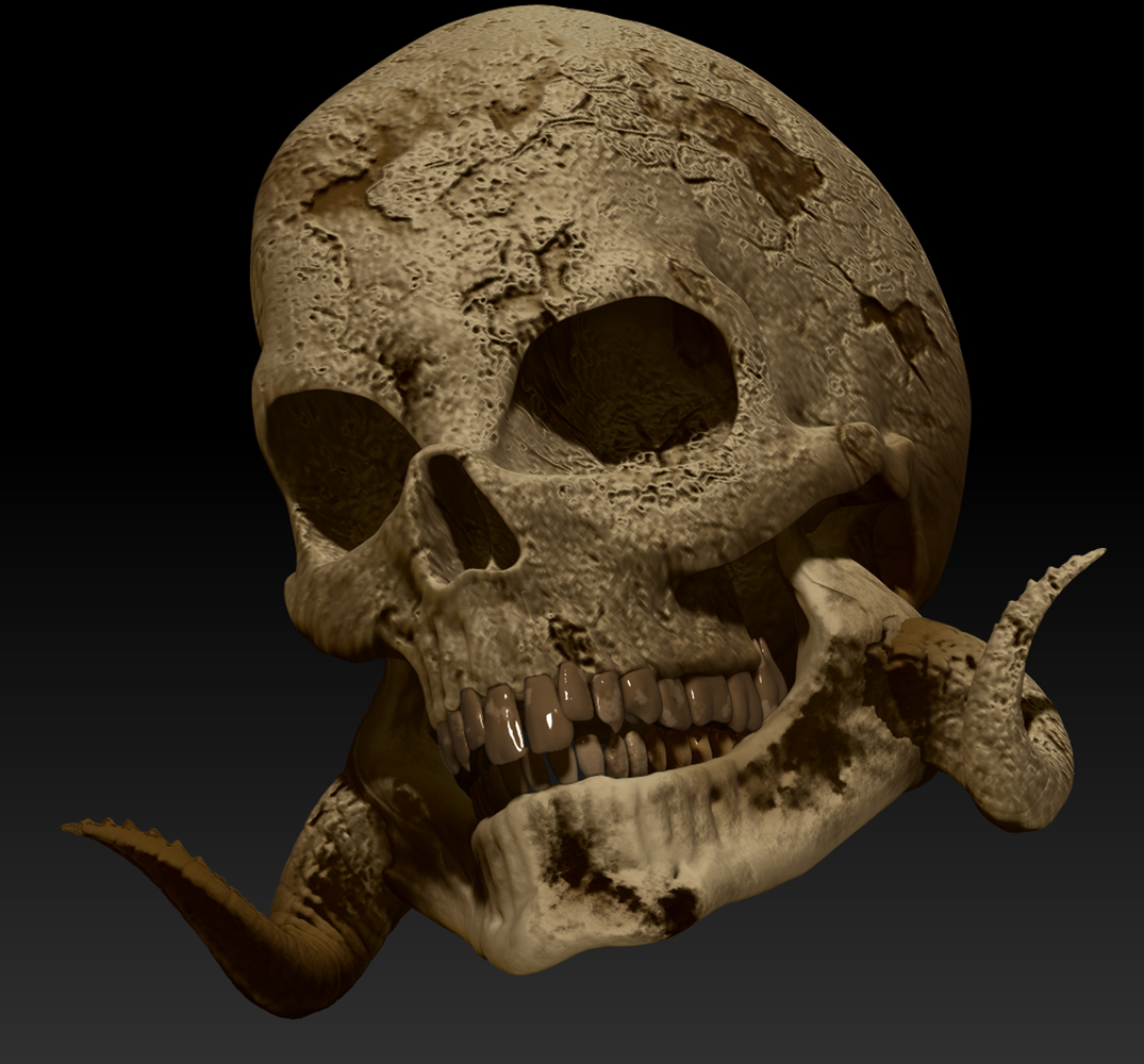 HORNED-SKULL-1C.jpg