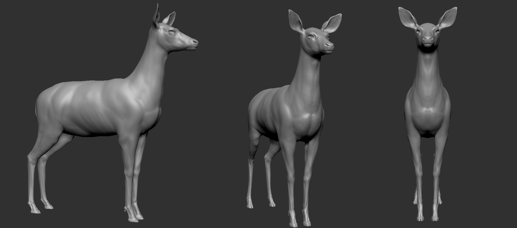 wip02.jpg