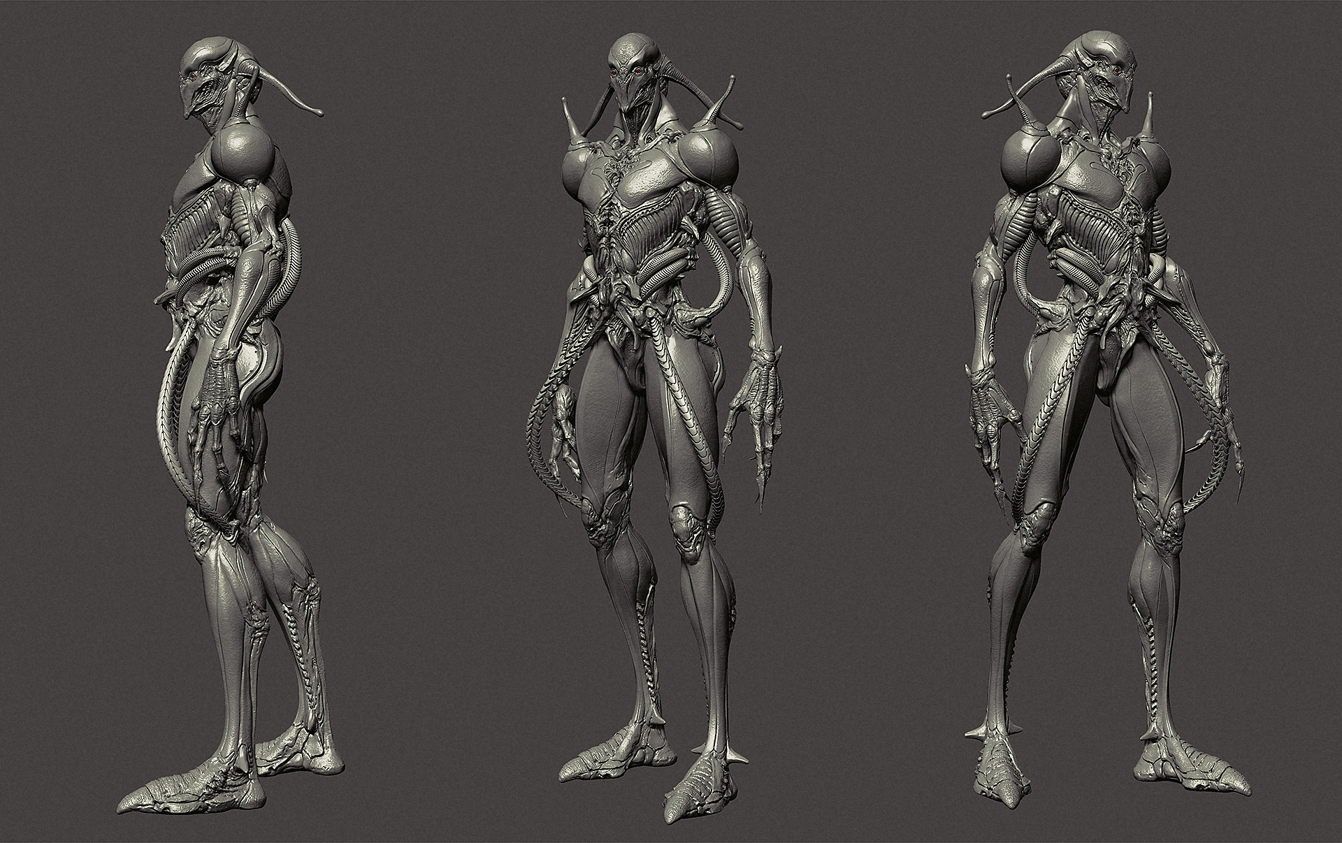 concept01_screen02_small.jpg
