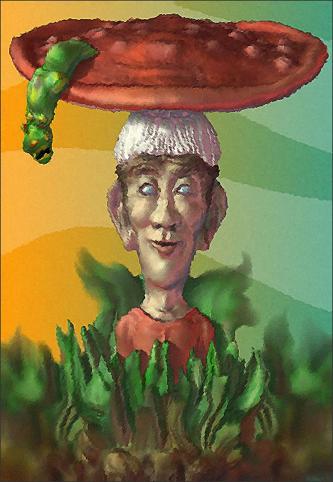 mushroom-elf-4-2.jpg