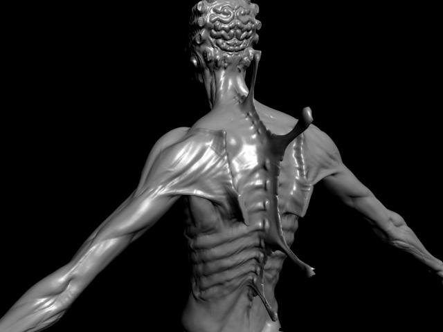 max_more_strength_back.jpg