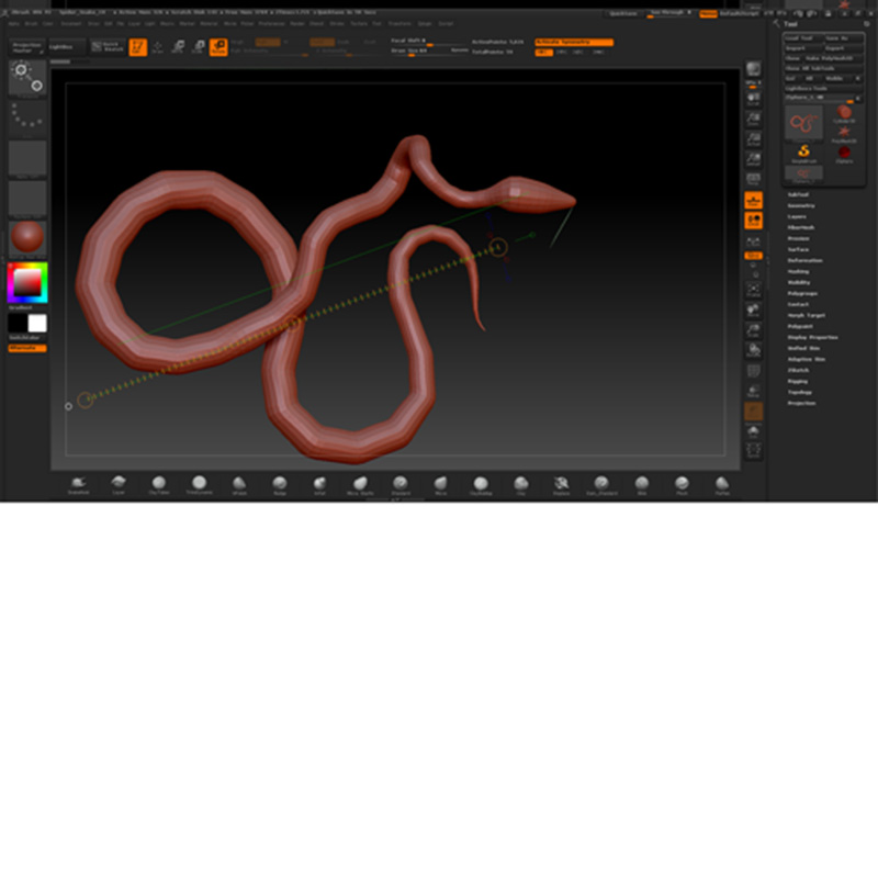 snake_prob_33.jpg