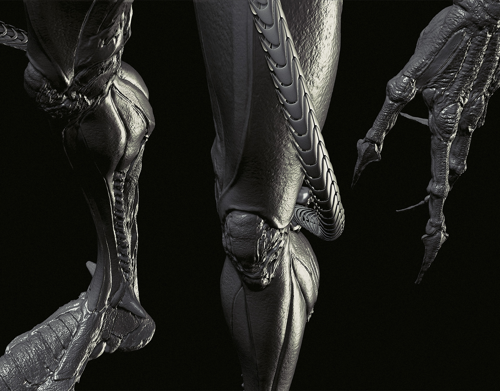 concept01_screen06_small.jpg