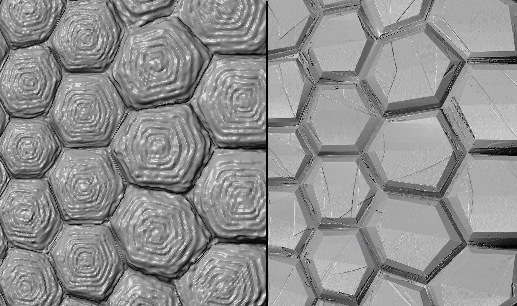 TurtleShell.jpg