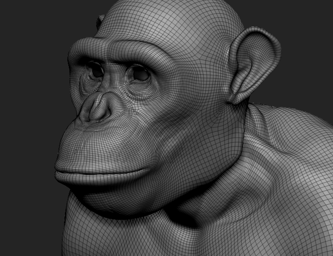 chimp10-wires.png