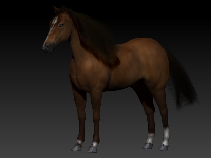 Full%20Horse%20%20(2)